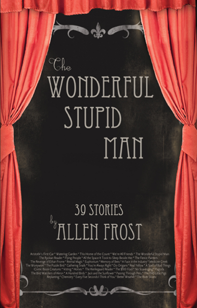 The Wonderful Stupid Man: Stories